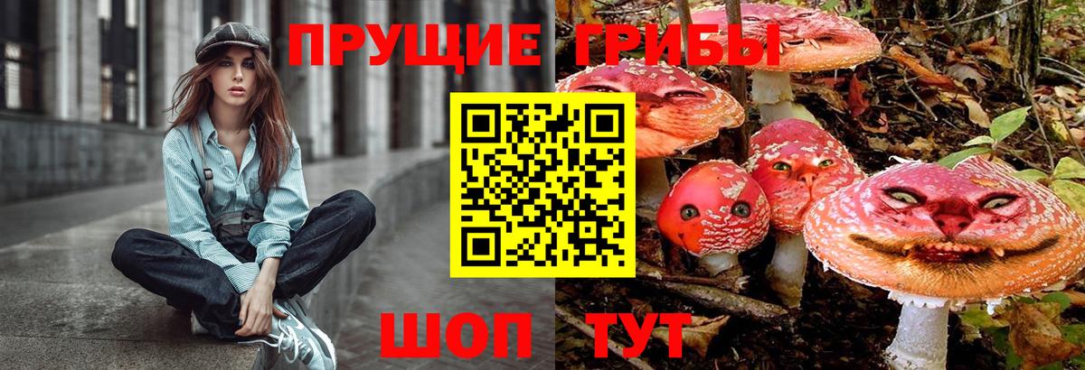 Спасск-Дальний  Псилоцибиновые грибы ЛСД  Галлюциногенные грибы MAGIC MUSHROOMS  купить наркотик  Вход с VPN 